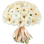 Герберы микс бело-кремовые