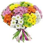 Хризантемы кустовые радужный микс