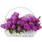 Корзина с цветами Время мелодий